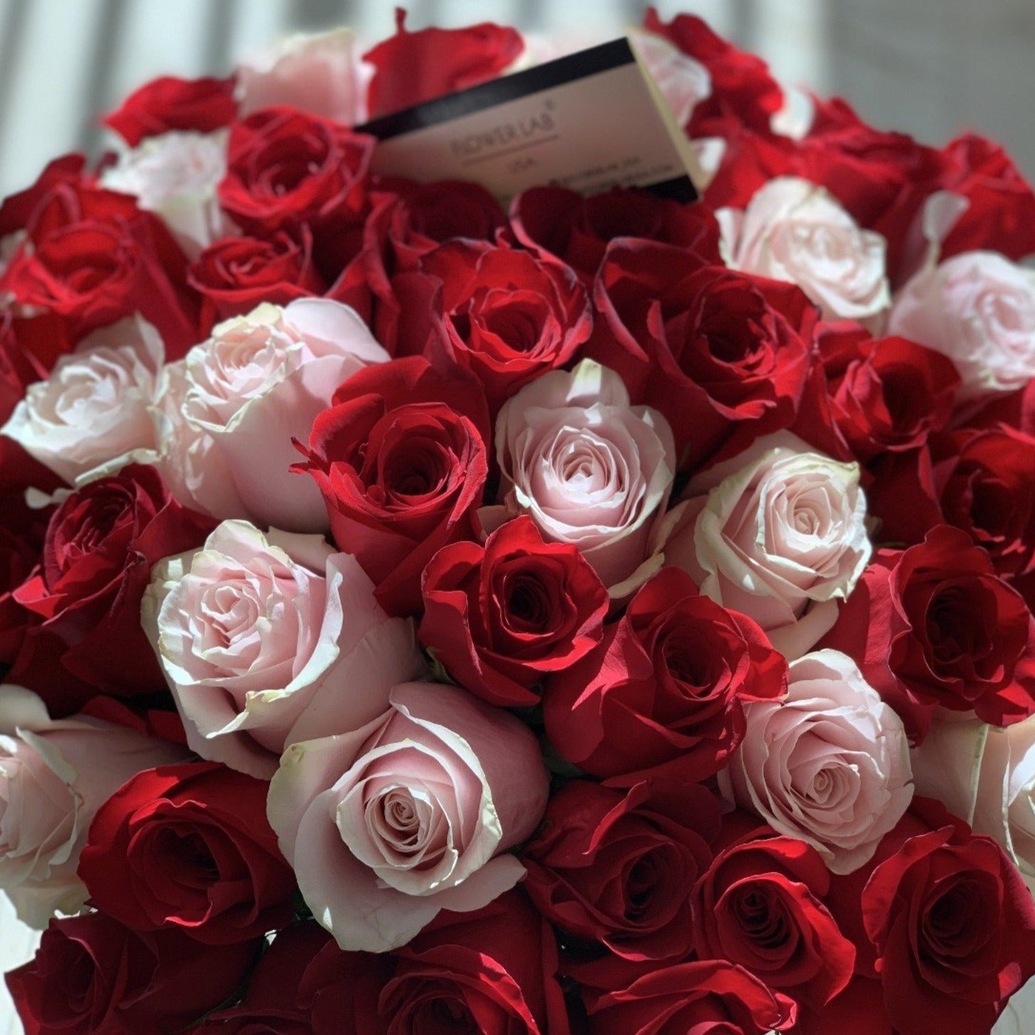 Red and pink roses bouquet