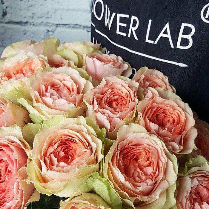 How to take care of flowers?