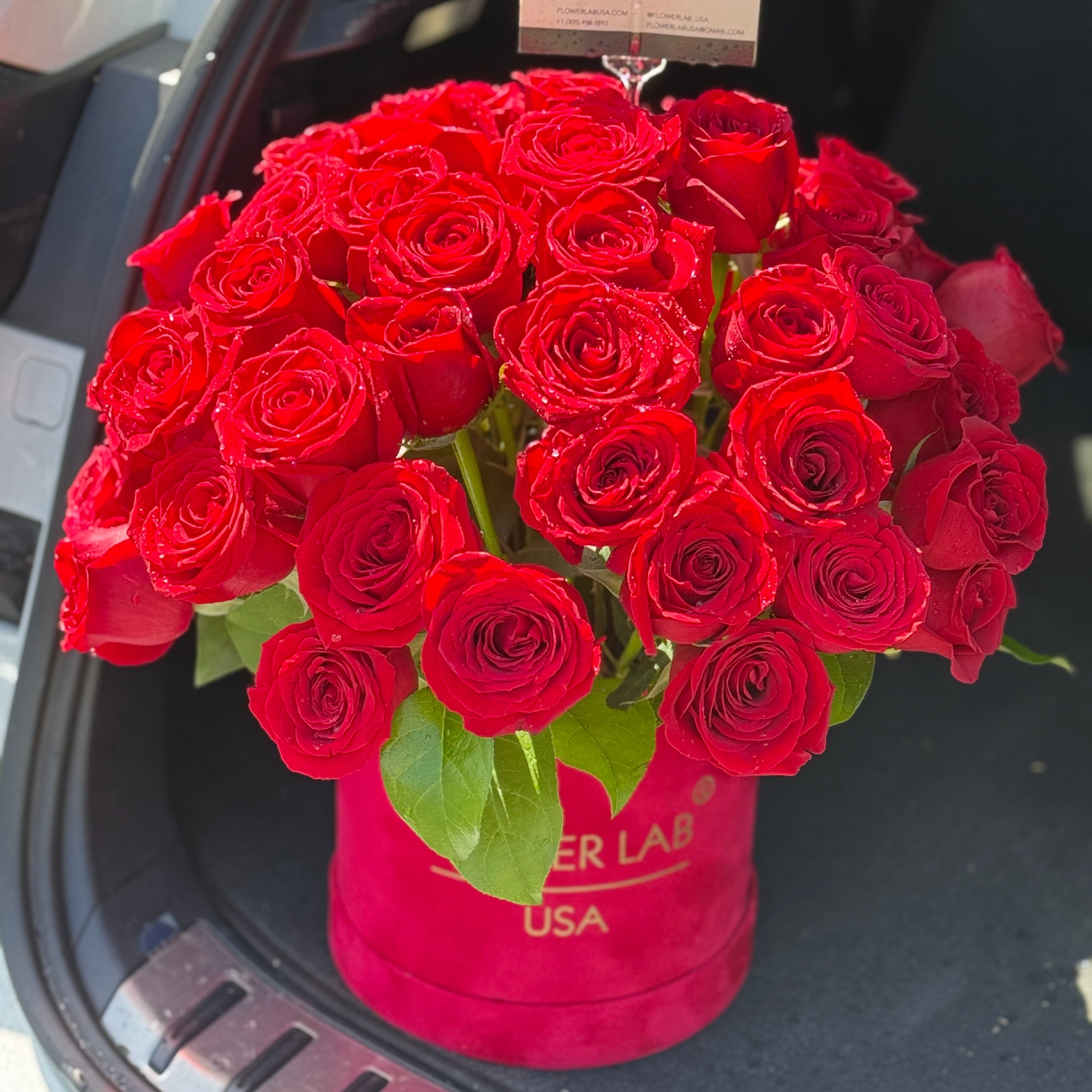 Valentine’s Day Special