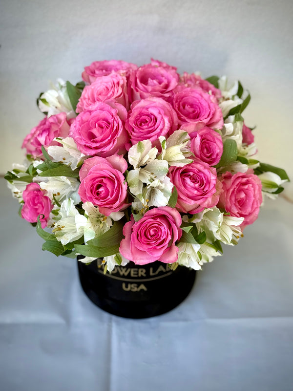 Alison's Box Alison box with 2 dozen roses - Flower Lab