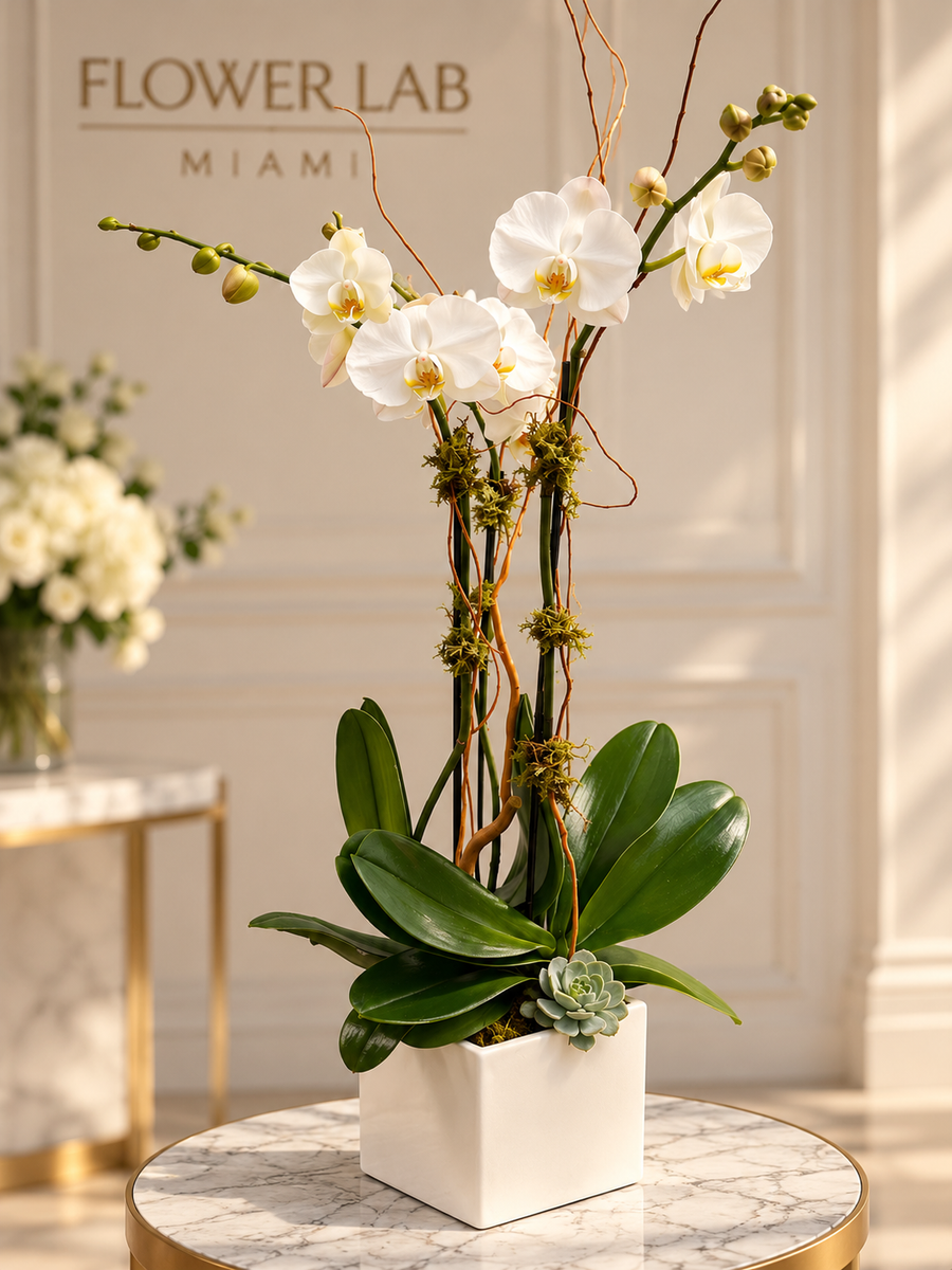 A floral arrangement featuring white Phalaenopsis orchids with green leaves and a small succulent, presented in a white square planter on a marble-topped table in an elegant indoor setting. The background features a cream paneled wall with 'FLOWER LAB MIAMI' text.