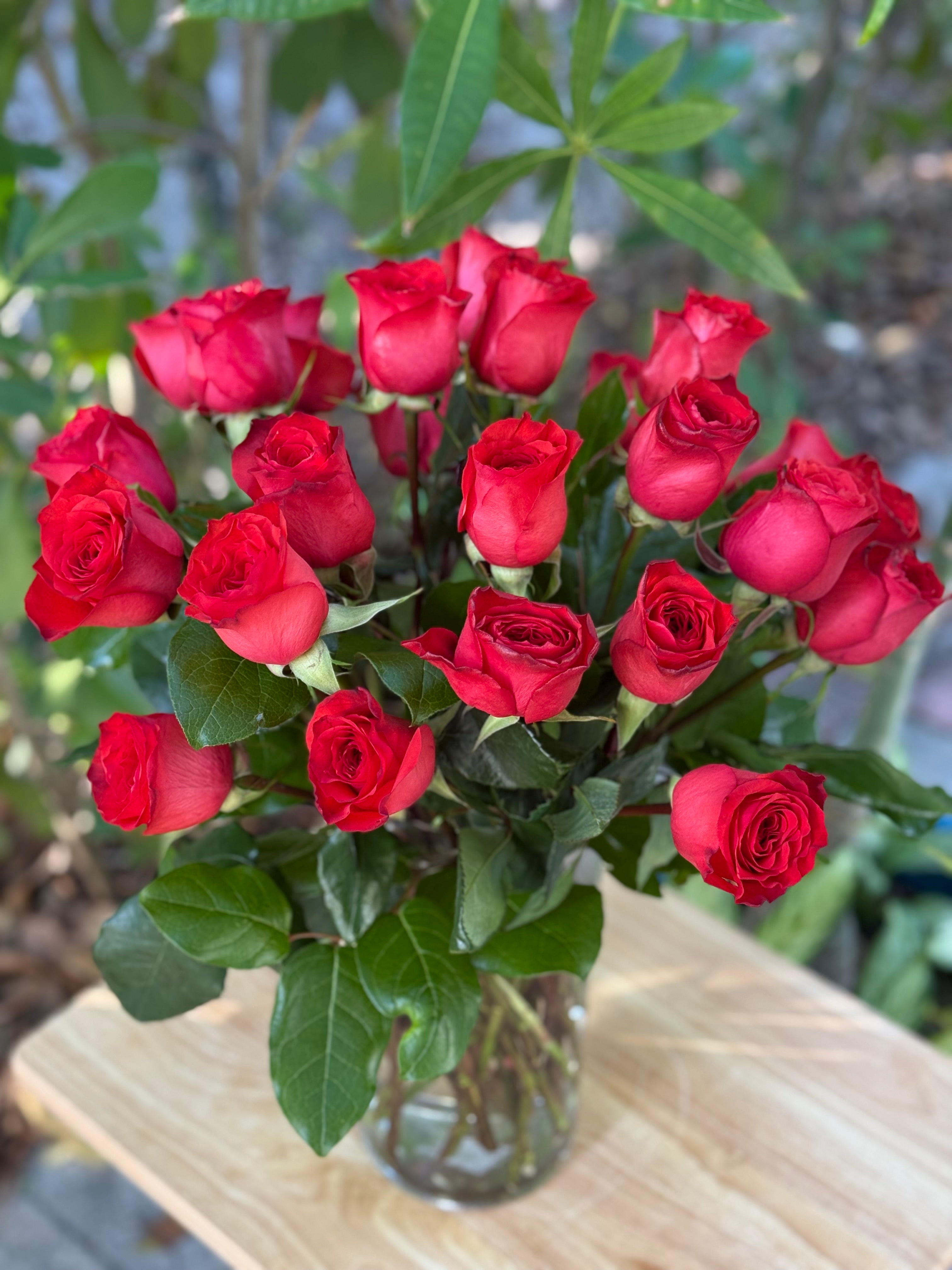 Classic two dozen roses in a vase