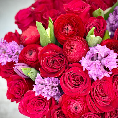 Gorgeous red roses