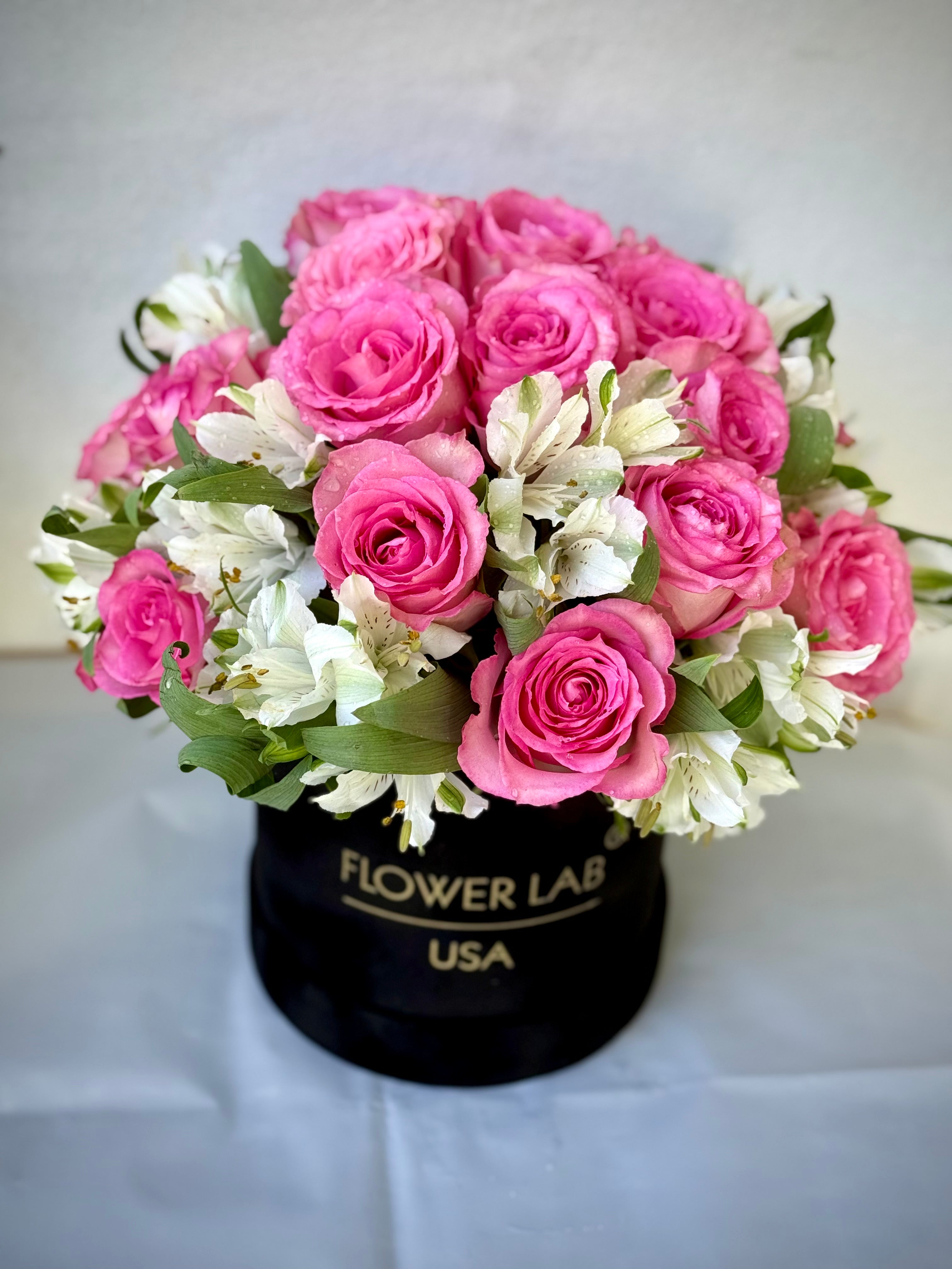 Alison box with 2 dozen roses