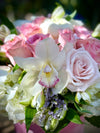 A1 Medium Box
