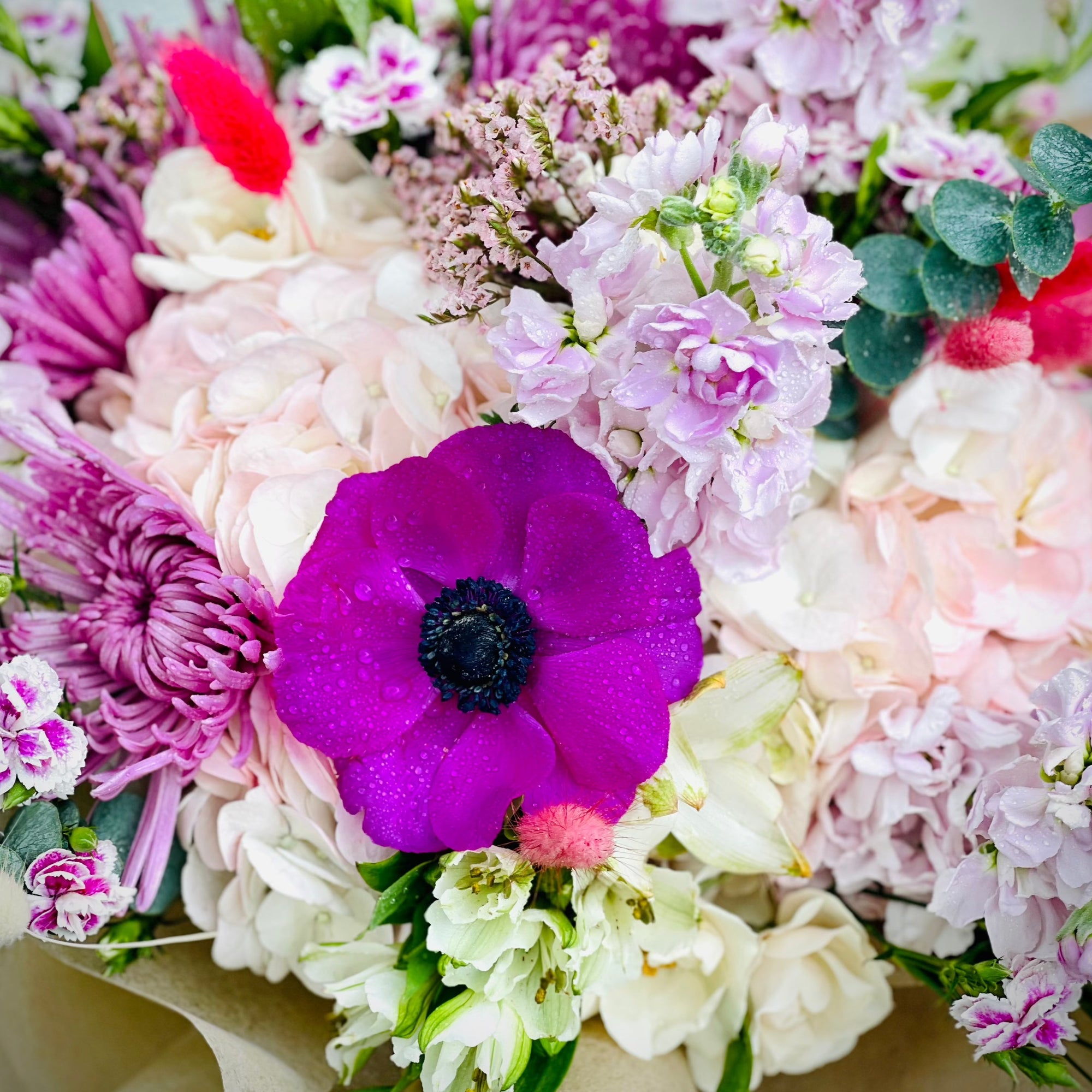 Florist choice wrapped bouquet