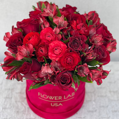 Red roses-Amore