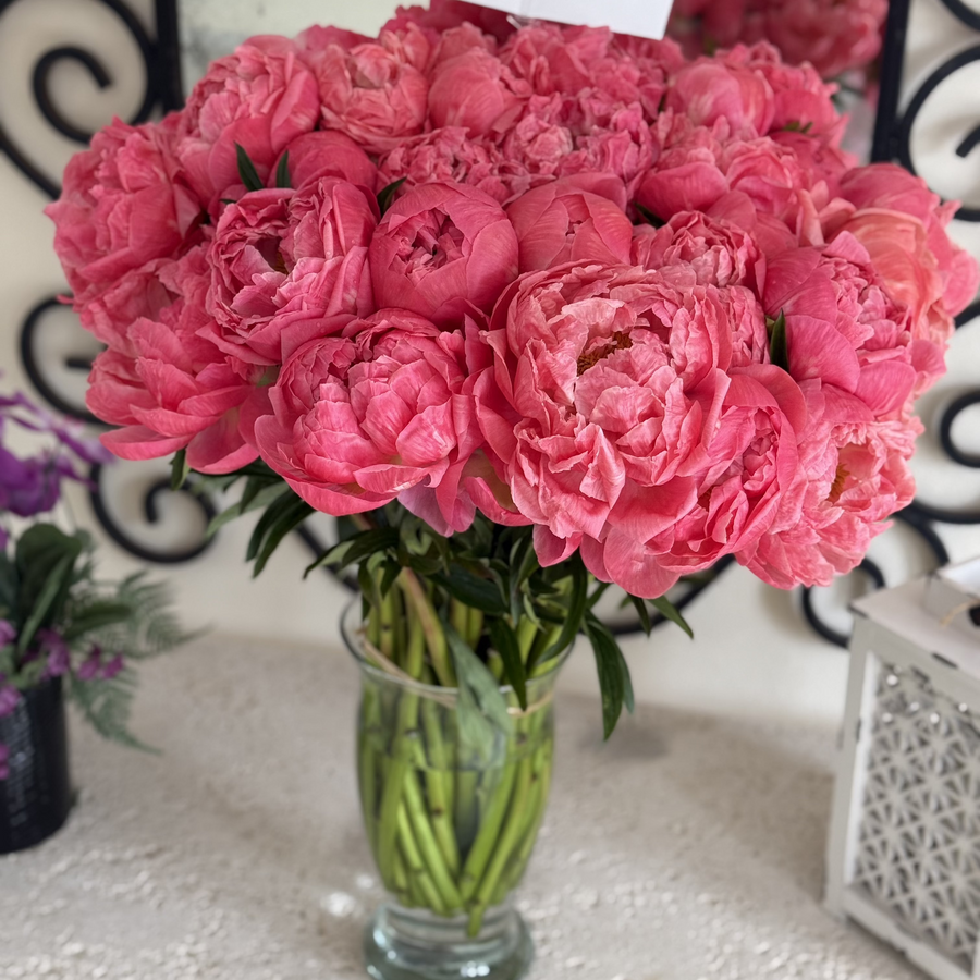 Luxury flower arrangement for delivery in Bal Harbour, Aventura, Sunny Isles.
Peonies near 33154