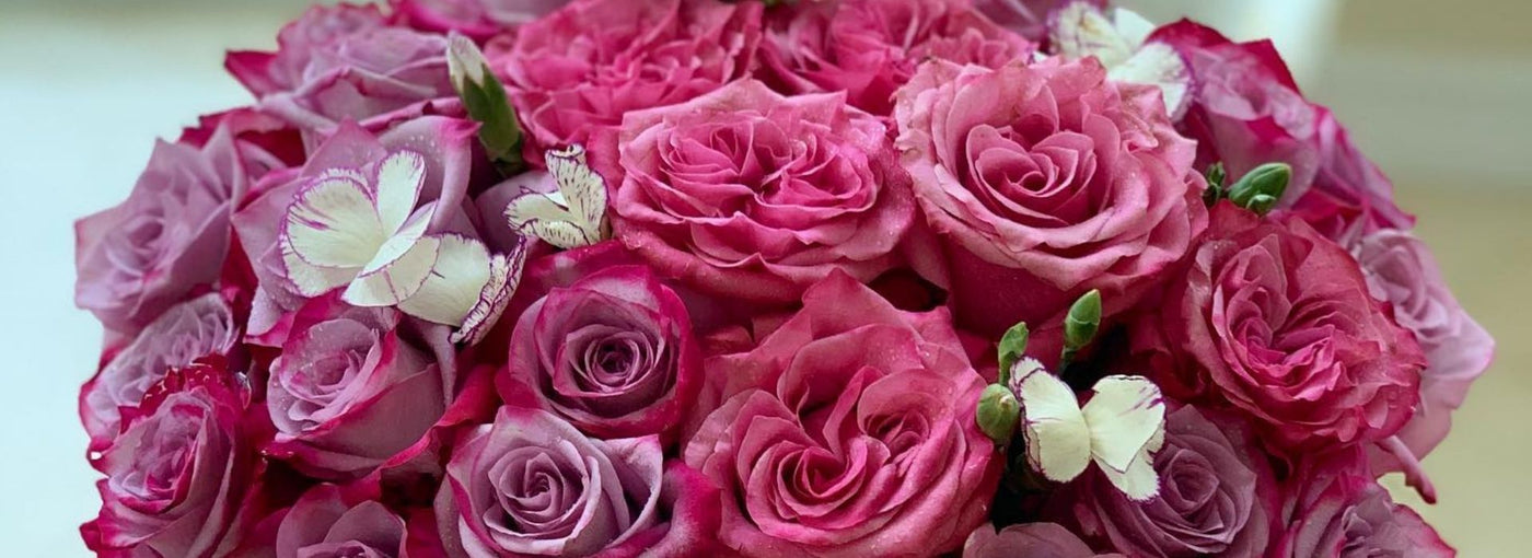 Flowerlab frequently asked questions