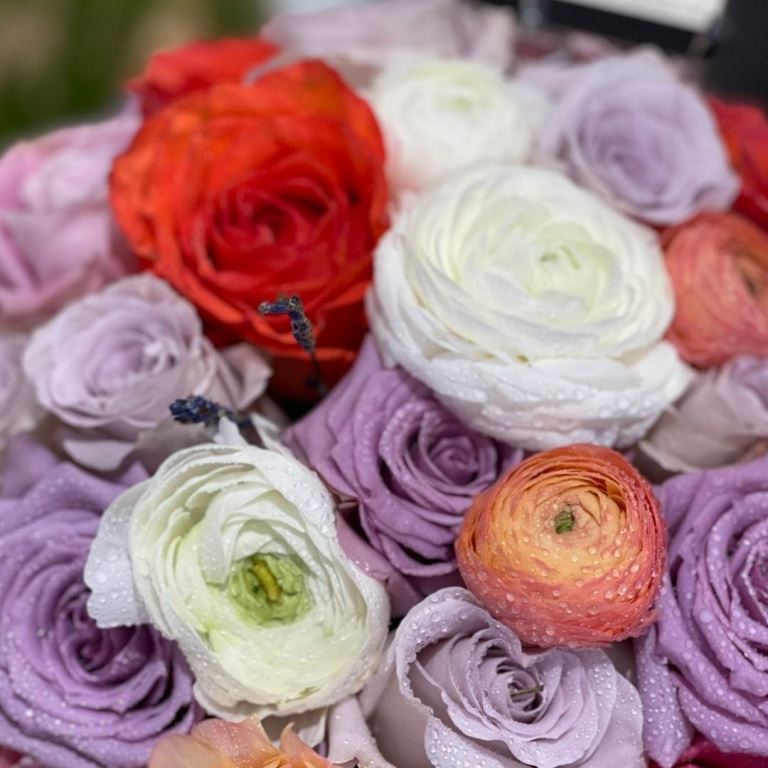 Rose Variety in a box