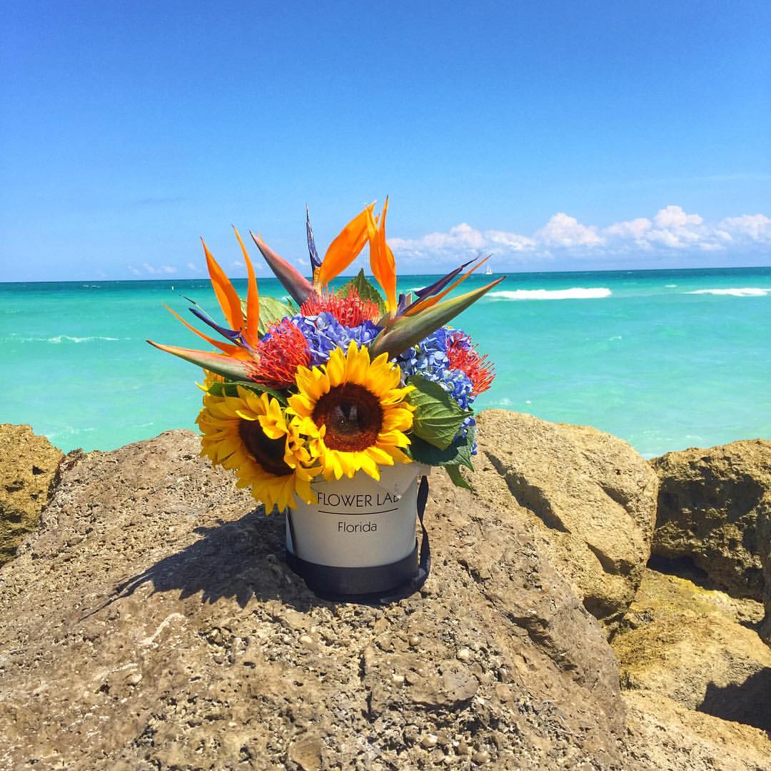 tropical flowers, sunflowers, birds of paradise, hydrangeas, pink cushions