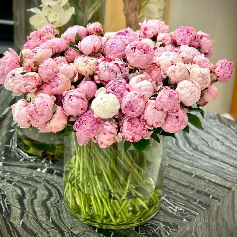Gorgeous Peonies