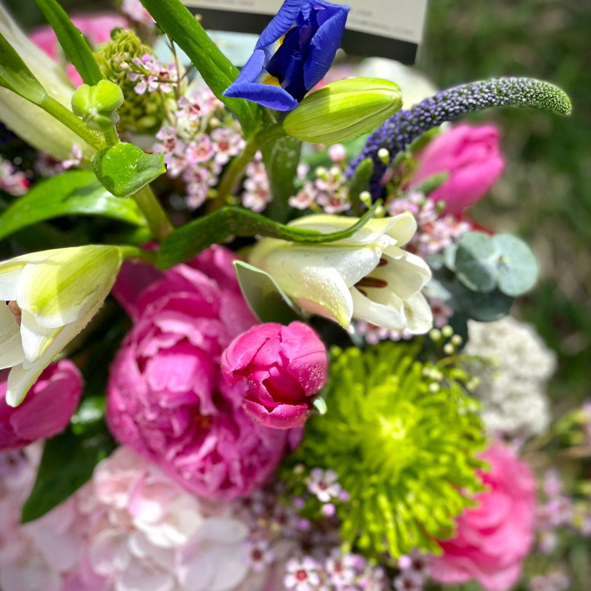 New Born Baby Girl Bouquet Delivery From Flower Lab Miami