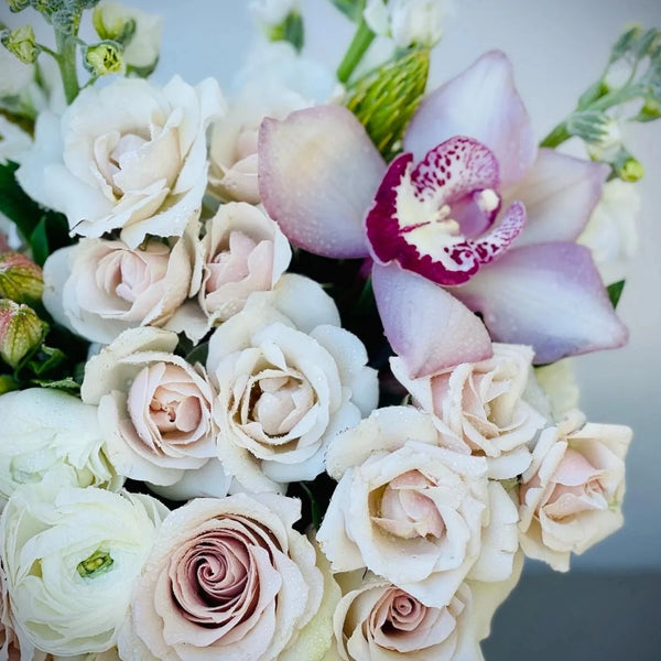 Absolute Flower Box Quicksand Roses, Mini Roses, Orchids, Stock, Alstr ...