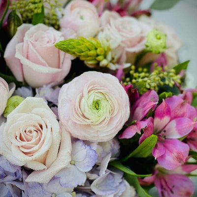 Ranunculus Hydrangea Alstroemeria Flower Arrangements Miami