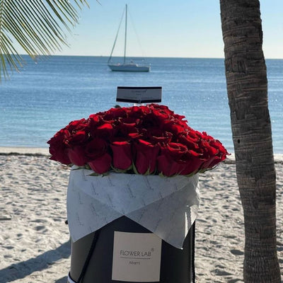 Red roses Carmen