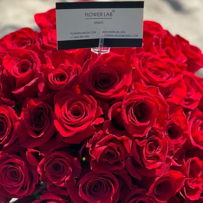 Red roses Carmen