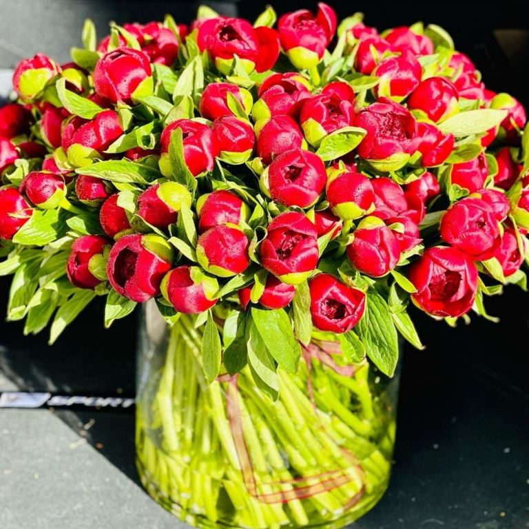 Romantic Peonies Flowers By A Stem