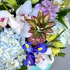 Tropicana Flower Arrangement