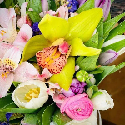 Tulips Alstroemeria And orchids Flower Delivery Miami