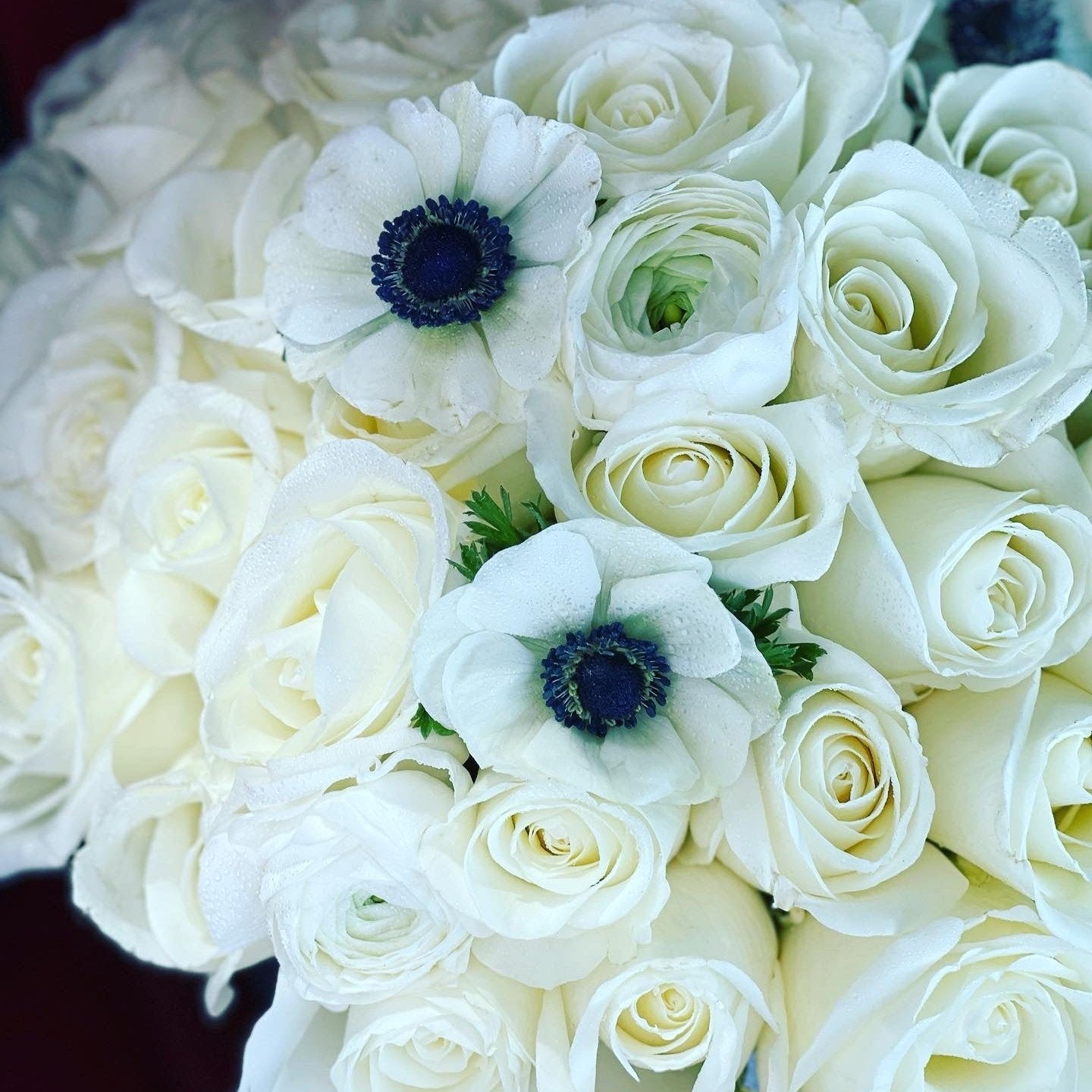 gorgeous white roses by flower lab usa, the best florist in bal harbour, aventura
