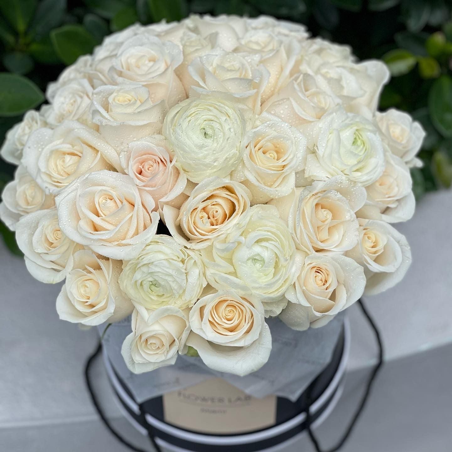 unique flowers in bal harbour