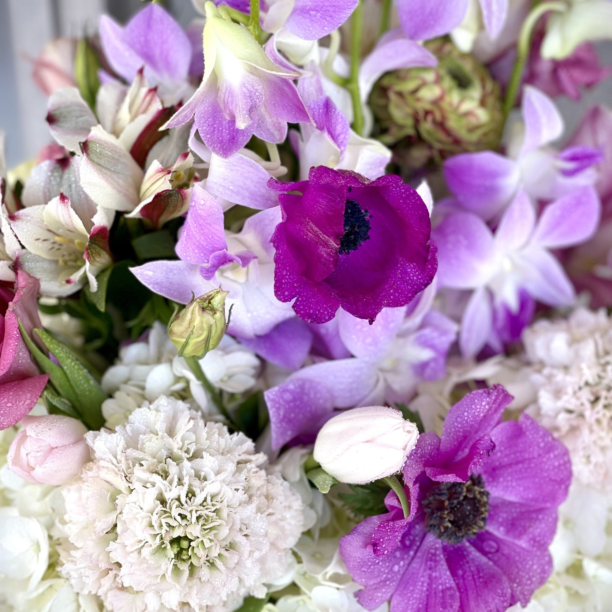 anemones, orchids