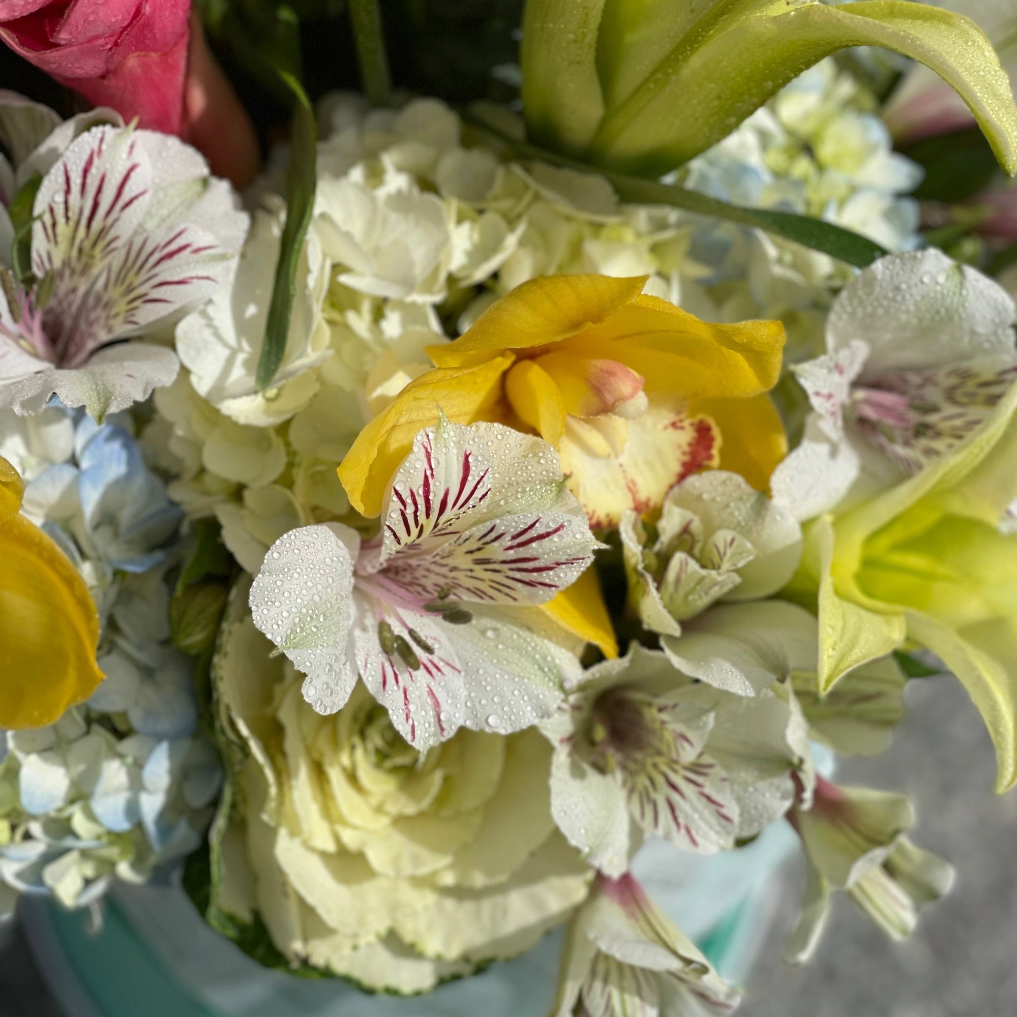 orchids,alstroemerias