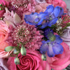 blue flowers, pink roses