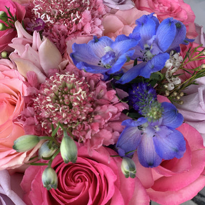 blue flowers, pink roses