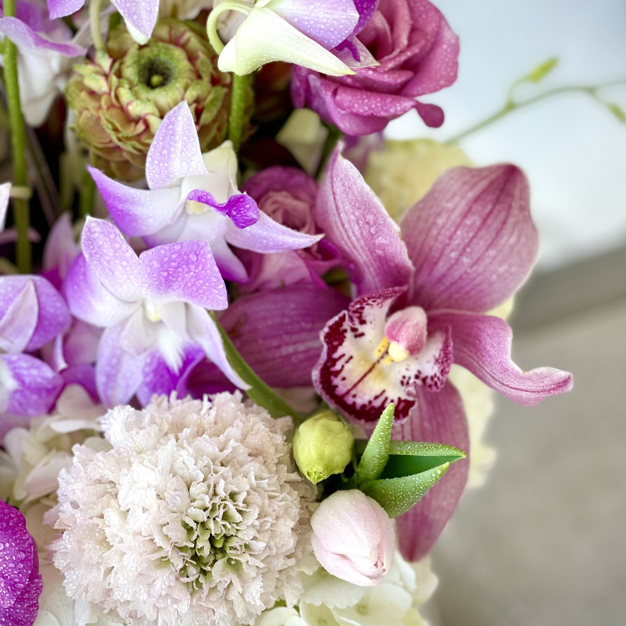 Marina box with Dendrobium orchids, hydrangeas, roses, cymbidium