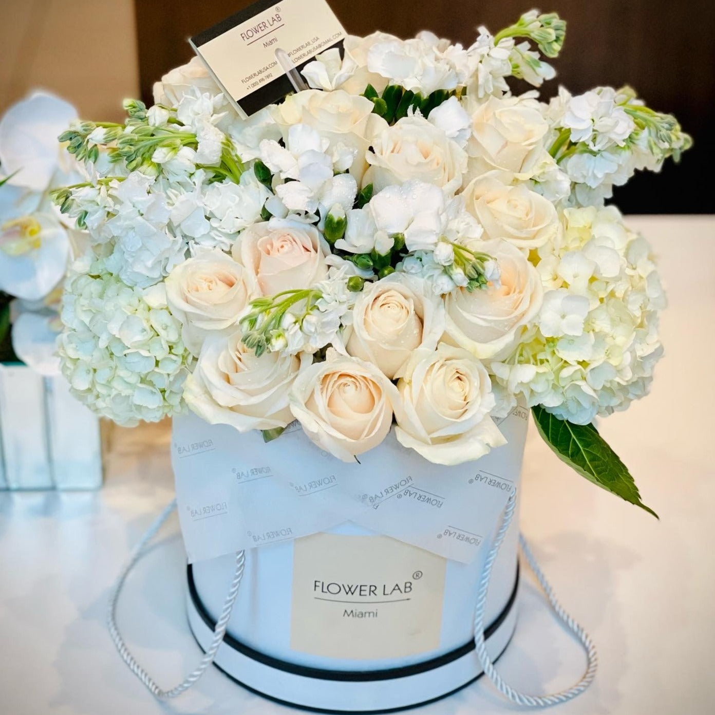 Claire with white roses, stock, hydrangeas, and sole mio