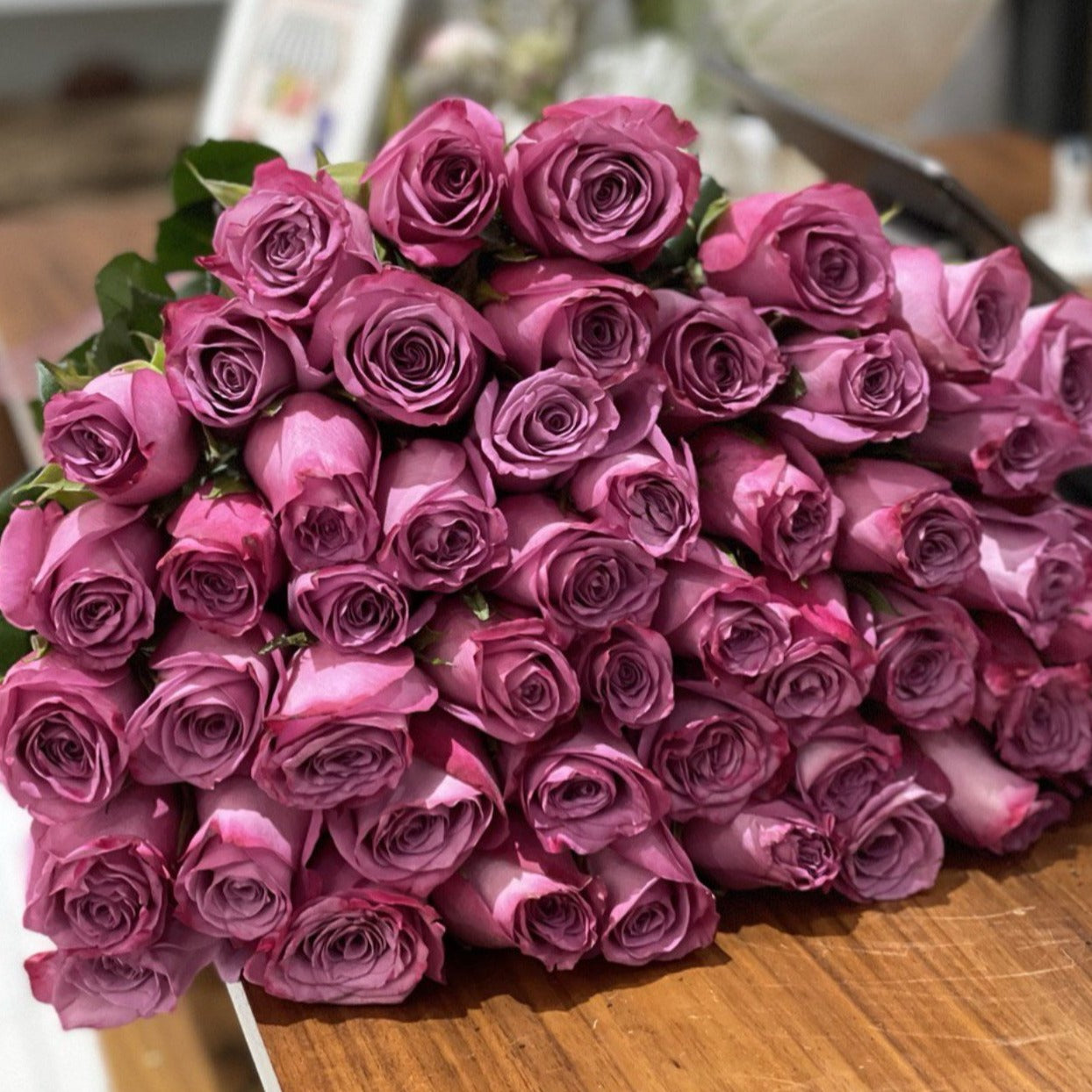 Violeta purple roses