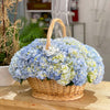 blue hydrengeas in a basket